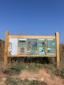 Brixham Wildlife Guide – Seabirds at Berry Head