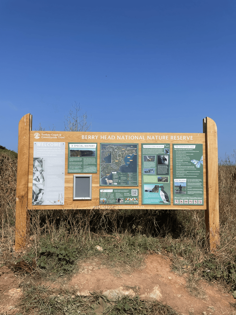 Brixham Wildlife Guide – Seabirds at Berry Head-Brixham-Marina-View-brixham-guest-house