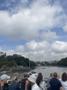 Brixham Wildlife Guide – Dolphins in the Bay